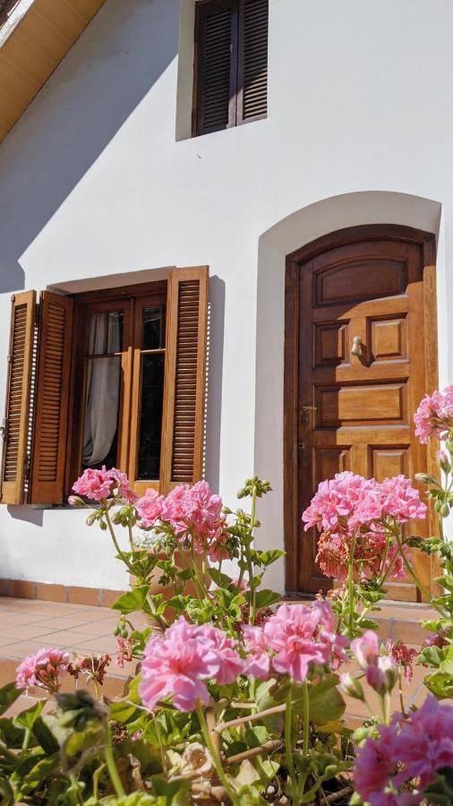 Hostel Sauce Μαρ ντελ Πλάτα Εξωτερικό φωτογραφία